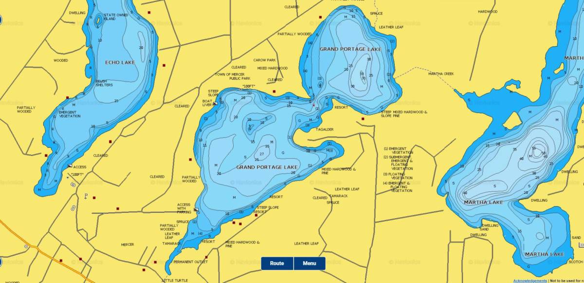 Navionics Lake Map
